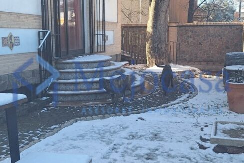 96218-31 Espectacular chalet independiente en Pinto.