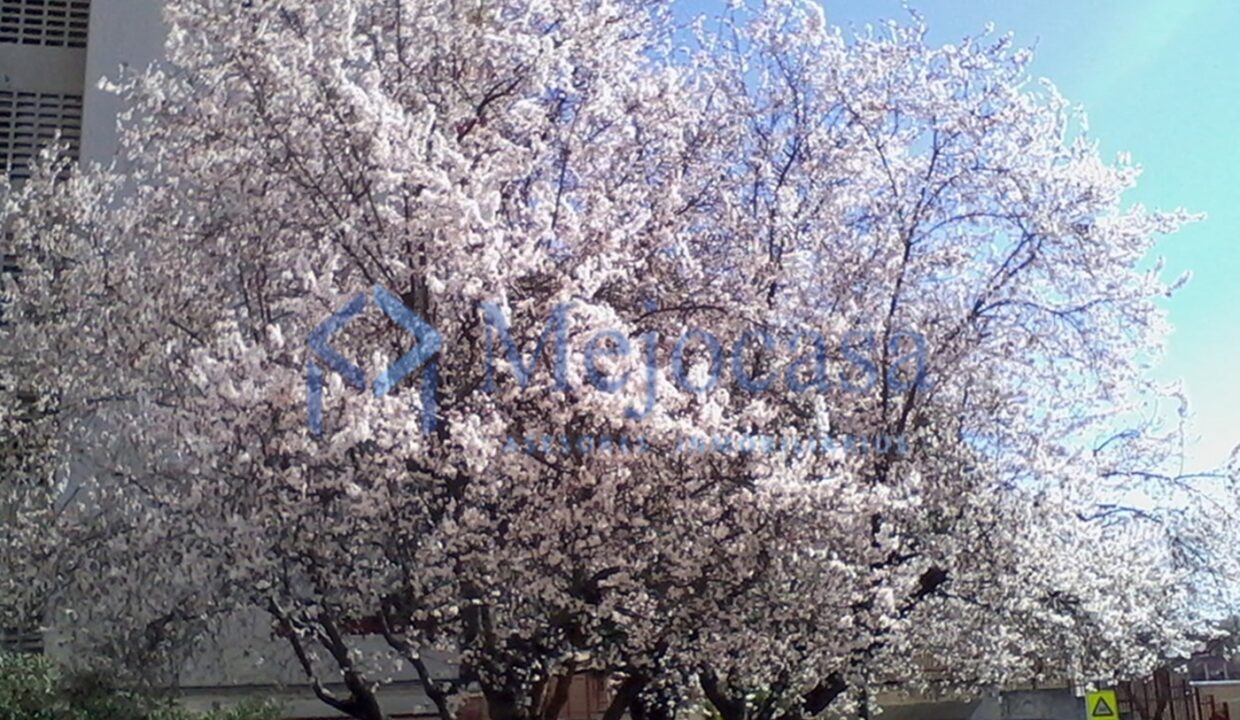 96971-28 inmejorable-situacion-terraza-incoporada