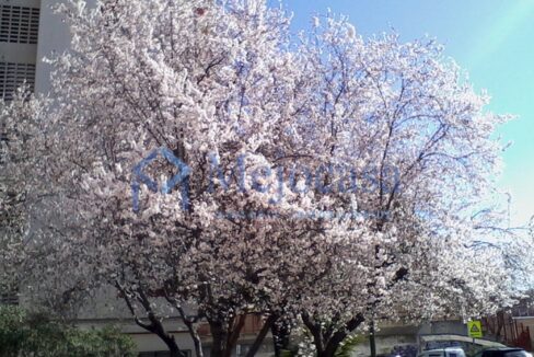 96971-28 inmejorable-situacion-terraza-incoporada